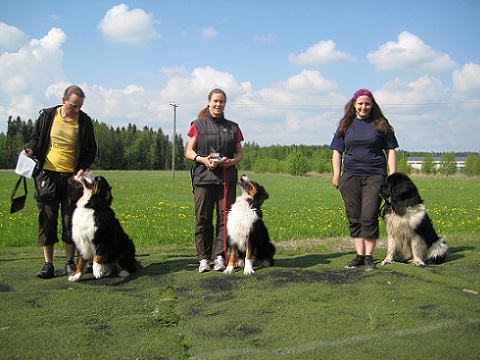 M�llitokon aloittelijaluokka