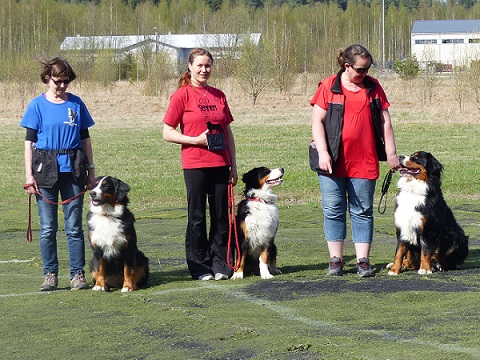 Rallym�llin alokasluokka