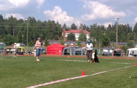 Amandan malja 2011