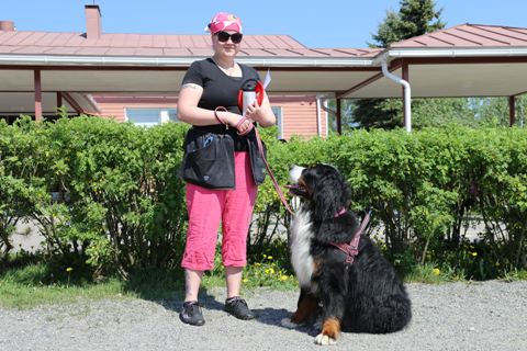 Arkidiplomi