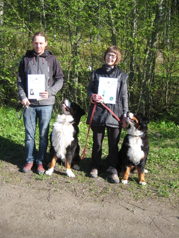 Arkidiplomi