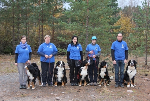 Rallymestisjoukkue