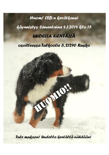 Uusi kentt�